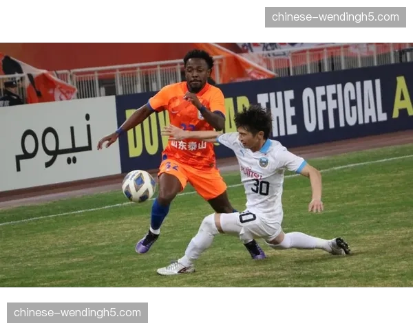 特写:时隔一年重回中超赛场,归化球员费南多替补登场收获掌声